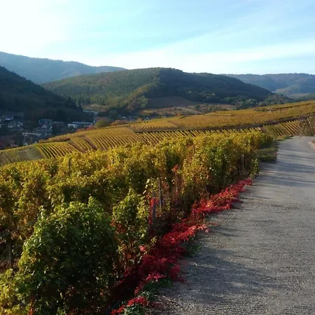 Le De La Vallee Noble 아파트 *